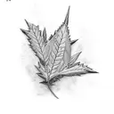 hemp leaf  tattoo design idea
