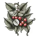 coffee berry leaves on a branch  tattoo design idea