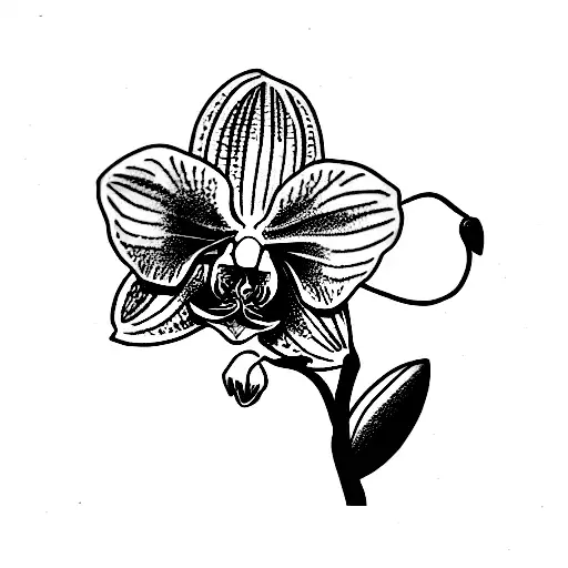 Orchid Tattoo Images – Browse 3,714 Stock Photos, Vectors, and Video |  Adobe Stock