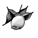 lemon outline tattoo design idea