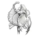 auge mit rose, die iris soll von einer hand festgehalten werden, die iris ist Zersplittert tattoo design idea