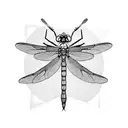 Dragonfly tattoo design idea