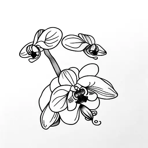 34 Orchid Tattoo Meaning and Ideas | Balcony Garden Web