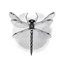 Dragonfly tattoo design idea