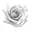 rose with long stem tattoo design idea