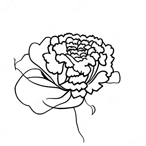 Hadestown carnation and lyrics tattoo design idea