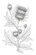 Scottish thistle with this too shall pass written tattoo design idea