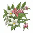 Achillea Layla & Cattleya tattoo design idea