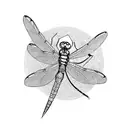 Dragonfly tattoo design idea