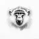 baboon. Mansard monkey.  tattoo design idea
