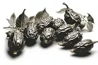 dates 10 10 2000 tattoo design idea