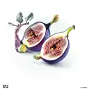 fig tattoo design idea