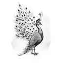 Peacock tattoo design idea