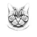 scottish fold (no ears)  black smoke cat and shmanism, thengrism  tattoo design idea