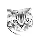 scottish fold (no ears)  black smoke cat and shmanism, thengrism  tattoo design idea