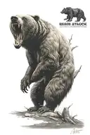 bear attack, timeless symbolism tattoo design idea