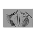 Add feathers and arrowheads to my design. tattoo design idea