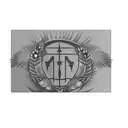 Add feathers and arrowheads to my design. tattoo design idea