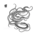 Intricate snake intertwined with a Chinese phrase tattoo design idea