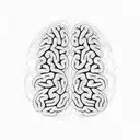 A brain with intricate physics equations and formulas inside tattoo design idea