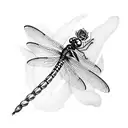 Dragonfly and rose tattoo design idea