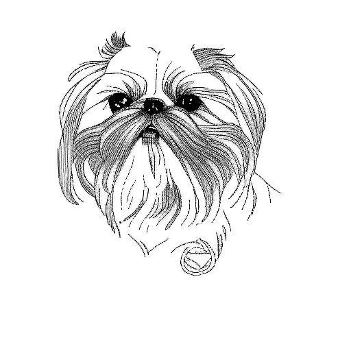 shih tzu tattoo design idea