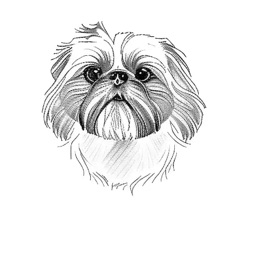 shih tzu tattoo design idea
