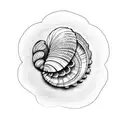 sea shell tattoo design idea