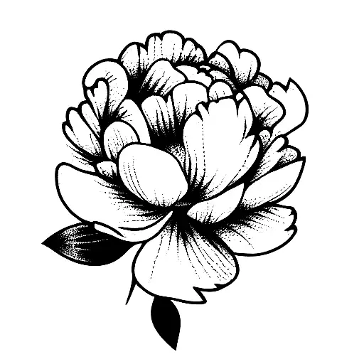 littles five flowers peonies  tattoo design idea