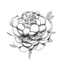  five little flowers peonies together  tattoo design idea
