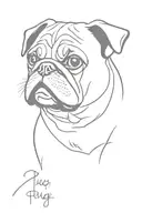 pug tattoo design idea