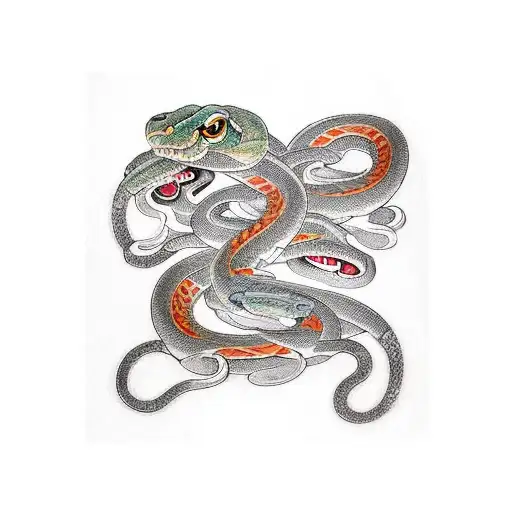 street that merges in a snake around a womans face with 3 eyes  tattoo design idea