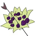 Blackberries and arrows tattoo design idea