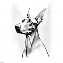 Doberman  tattoo design idea
