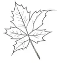 maple leaf with a beret on top hat tattoo design idea