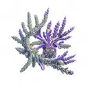 White lavender, juniper with berries and sage on one branch, the stems of which are intertwined in a spiral tattoo design idea