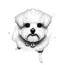 Bichon  tattoo design idea