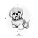Bichon  tattoo design idea