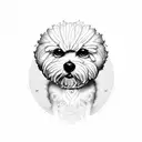 Bichon  tattoo design idea