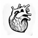 anatomical heart tattoo design idea