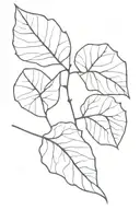 leaf skeleton tattoo design idea