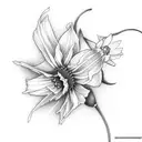 cosmos, lark, daffodil tattoo design idea