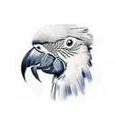 MACAW tattoo design idea