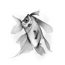 Peces beta  tattoo design idea