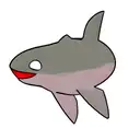 orca tattoo design idea