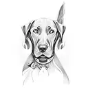 Weimaraner tattoo design idea