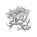 Juniper branch  tattoo design idea