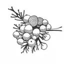 Juniper branch with berries and name juniper  tattoo design idea