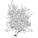 Juniper branch with berries and name juniper  tattoo design idea