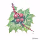 Poison Ivy Vines tattoo design idea